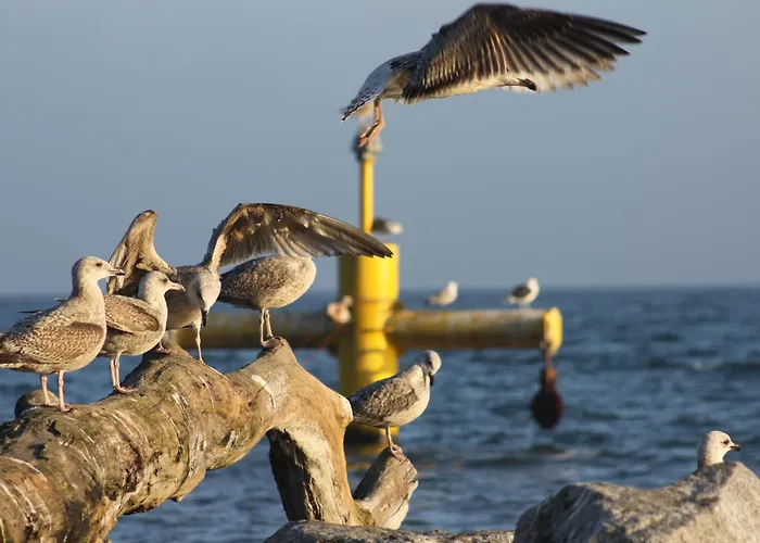 Апартаменты Nadmorski 1 Сопот